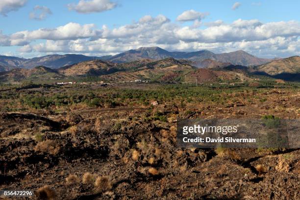 Few scattered trees have taken root in the March 1981 lava flow on the slopes of the Mt. Etna volcano, Europe's largest and most active, on September...