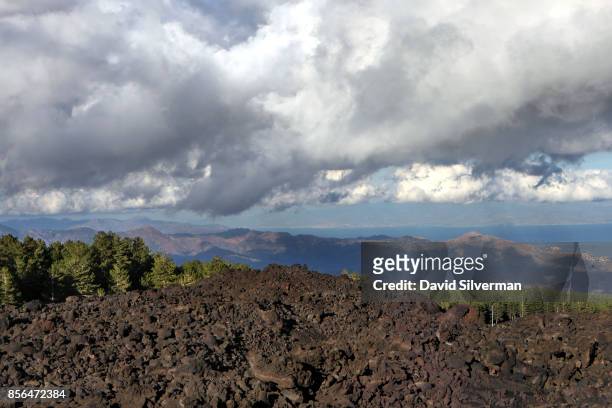 The tree line marks the limit of the 2002 lava flow on the northern slope of Mt. Etna volcano, Europe's largest and most active, on September 21,...