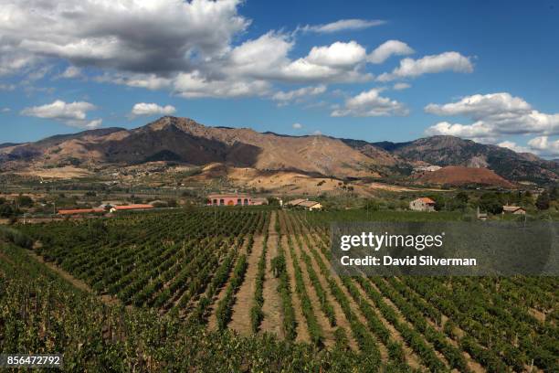 Tenuta delle Terre Nere winery is surrounded by its Calderara Sottana vineyard on the northern slope of Mt. Etna volcano, Europe's largest and most...