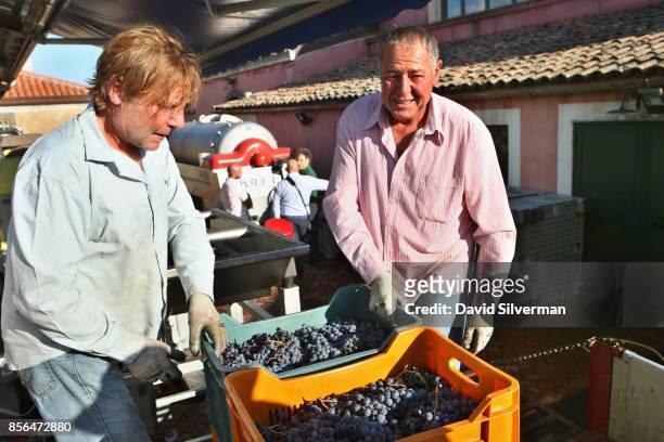 Workers process just-harvested Nerello Mascalese grapes for rose wine at the Tenuta delle Terre Nere winery, located on the northern slope of the Mt....