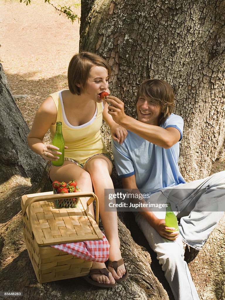 Young adult couple picnicking