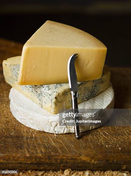 variety of cheeses - brie wheel stock pictures, royalty-free photos & images