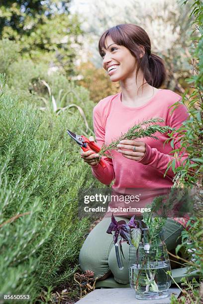 woman gardening - só uma mulher de idade mediana - fotografias e filmes do acervo