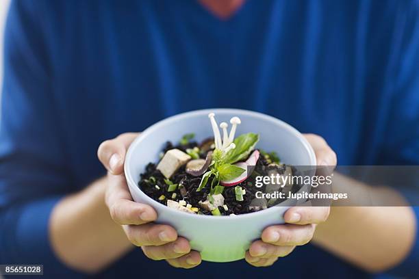 vegan black rice , tofu , and enoki mushroom salad - enoki mushroom stock pictures, royalty-free photos & images