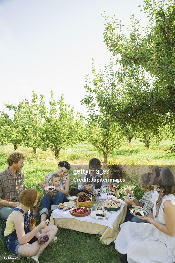 Large group of people in orchard eating dessert