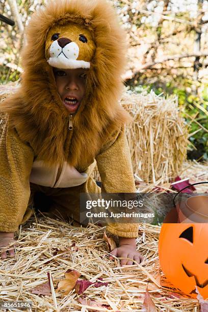 boy in lion costume - lions take a knee stockfoto's en -beelden