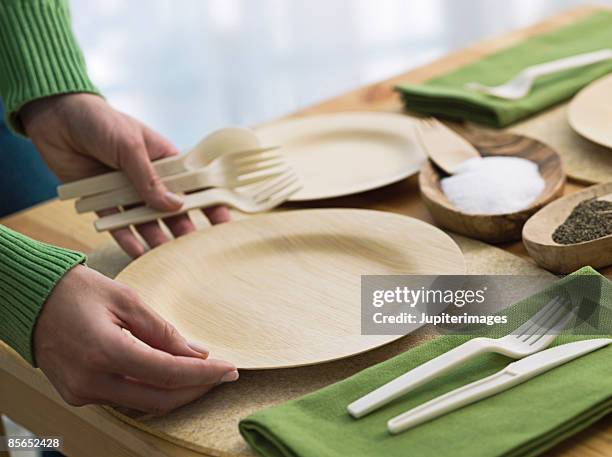 place setting with eco-friendly tableware - single use ストックフォトと画像