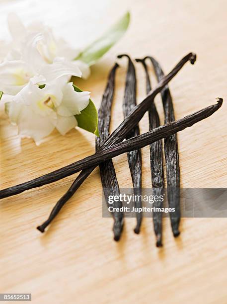 vanilla beans - pod stock pictures, royalty-free photos & images