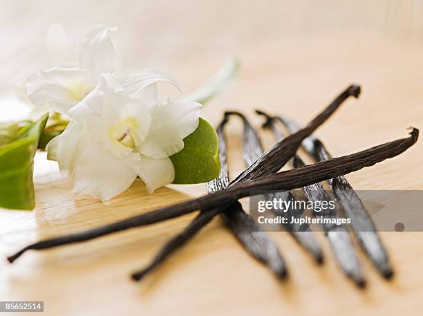 vanilla beans - vanilla stock pictures, royalty-free photos & images