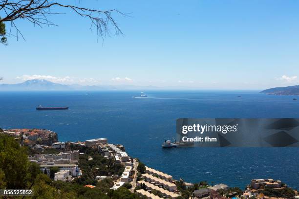 strait of gibraltar - seen from gibraltar, nature reserve "upper rock" (gibraltar/ uk) - straits of gibraltar natural park stock pictures, royalty-free photos & images