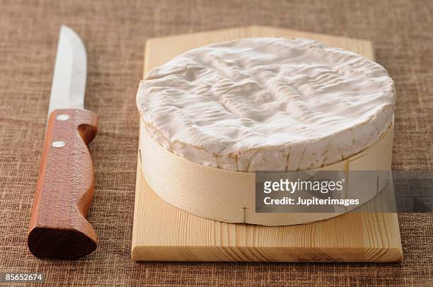 camembert cheese and knife - camambert stockfoto's en -beelden