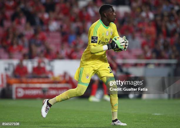 Benfica goalkeeper Bruno Varela from Portugal in action during the Primeira Liga match between SL Benfica and Portimonense SC at Estadio da Luz on...