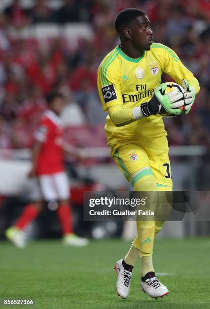 Benfica goalkeeper Bruno Varela from Portugal in action during the Primeira Liga match between SL Benfica and Portimonense SC at Estadio da Luz on...