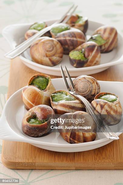 escargot - snail stock pictures, royalty-free photos & images