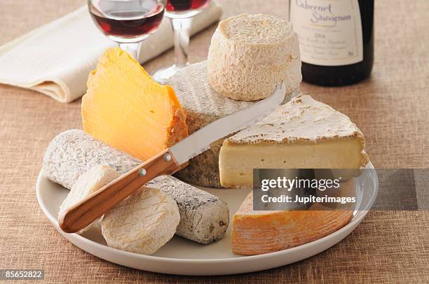 cheese plate with wine - ostbricka bildbanksfoton och bilder