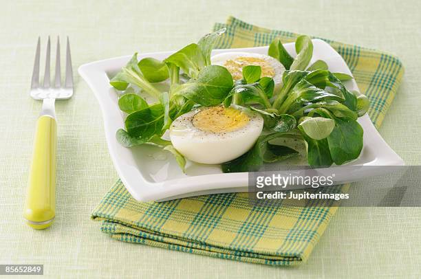 mache salad with hard boiled egg - hard boiled eggs stock-fotos und bilder