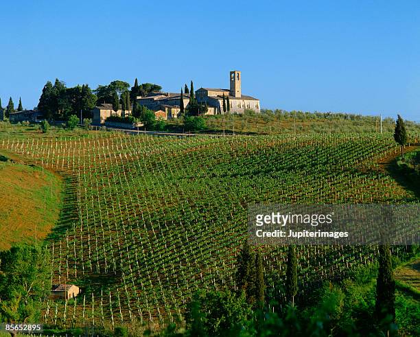 vineyard , tuscany , italy - san gimignano stock pictures, royalty-free photos & images