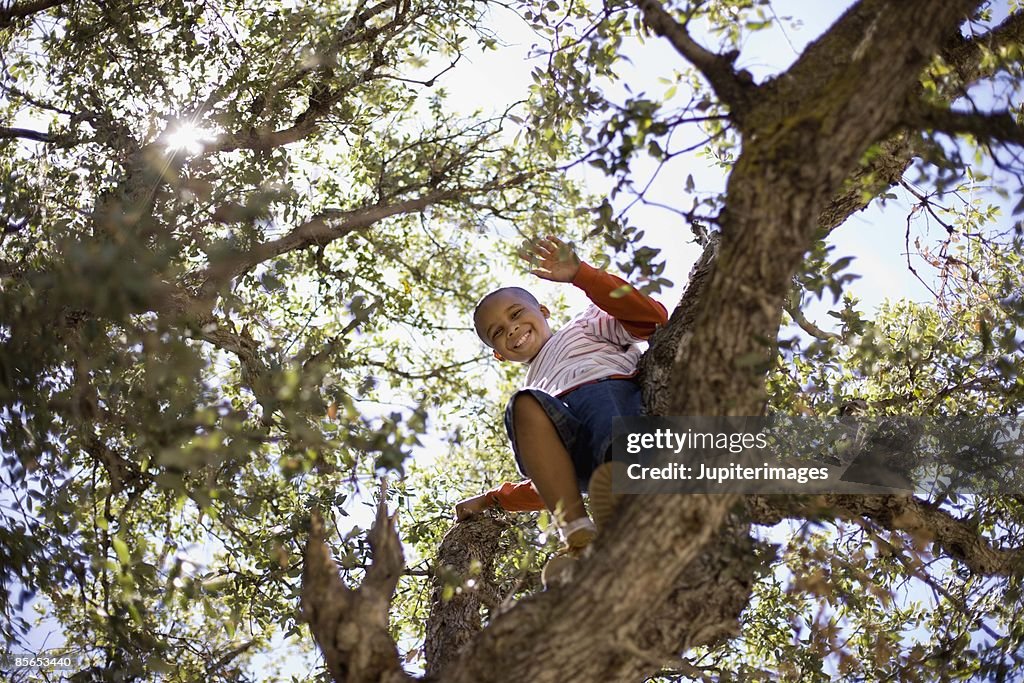 Boy climbing tree