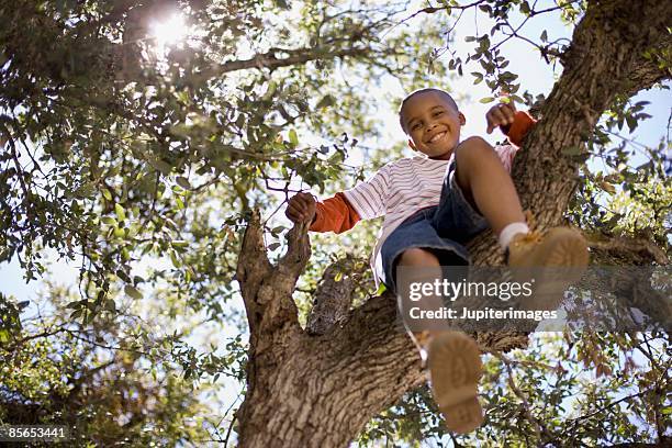 boy climbing tree - tree climbing stock pictures, royalty-free photos & images