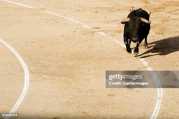 bull in a bullring - 闘牛 ストックフォトと画像