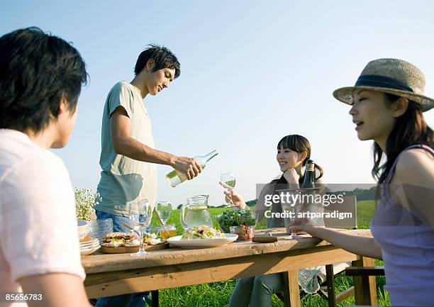 young people having a picnic in field - wine picnic stock pictures, royalty-free photos & images