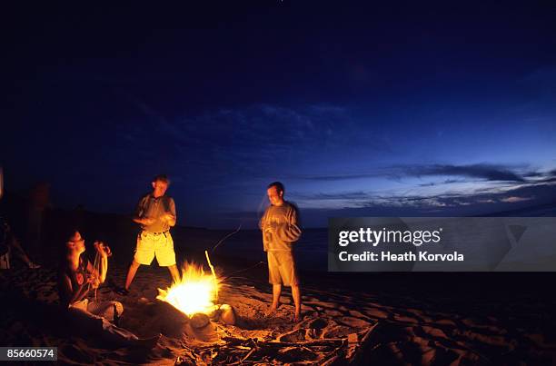 bonfire on beach with ocean in background. - beach bonfire stock pictures, royalty-free photos & images