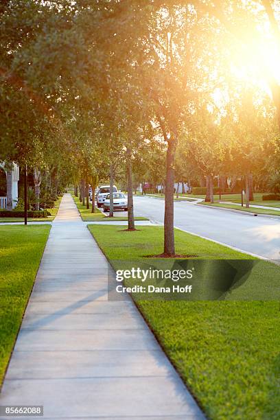 sidewalk on tree-lined street - suburban sidewalk stock pictures, royalty-free photos & images