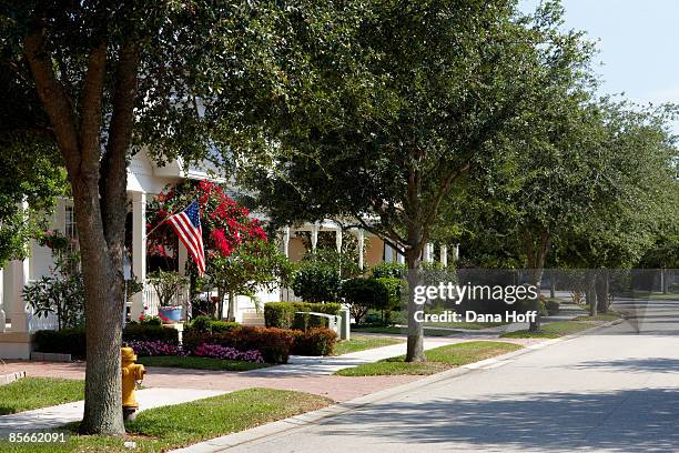 sidewalk on tree-lined street - florida suburb stock pictures, royalty-free photos & images