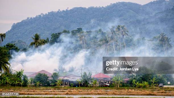 mosquito fogging - fog machine stock pictures, royalty-free photos & images