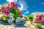 Colorful Bodrum Houses