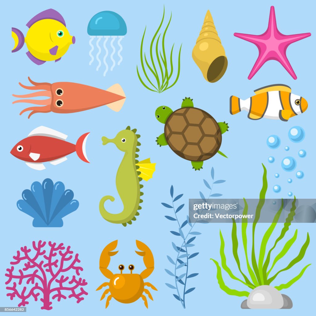 Set Animales Del Mar Divertido Acuáticas Criaturas Submarinas De Dibujos  Animados Ilustración De Vector De Caracteres Shell Acuario Sealife  Ilustración de stock - Getty Images