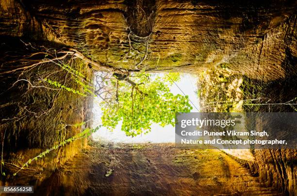 the way to exit - deep hole stock pictures, royalty-free photos & images