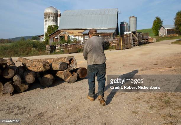 Robert Marble walks past hardwood logs ready for cutting on his converted dairy farm in Charlotte, Vermont, September 26, 2017. Marble is a firewood...