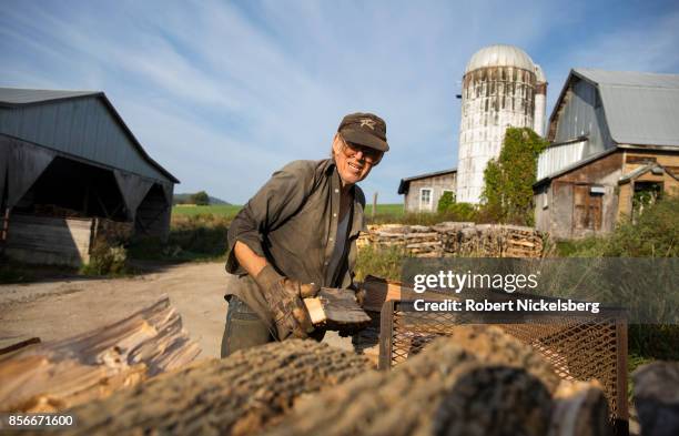 Robert Marble stacks firewood on his converted dairy farm in Charlotte, Vermont, September 26, 2017. Marble is a firewood supplier who has cut and...