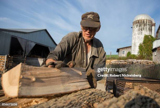 Robert Marble stacks firewood on his converted dairy farm in Charlotte, Vermont, September 26, 2017. Marble is a firewood supplier who has cut and...