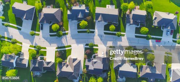 idyllic neighborhood street, aerial view - james garden stock pictures, royalty-free photos & images