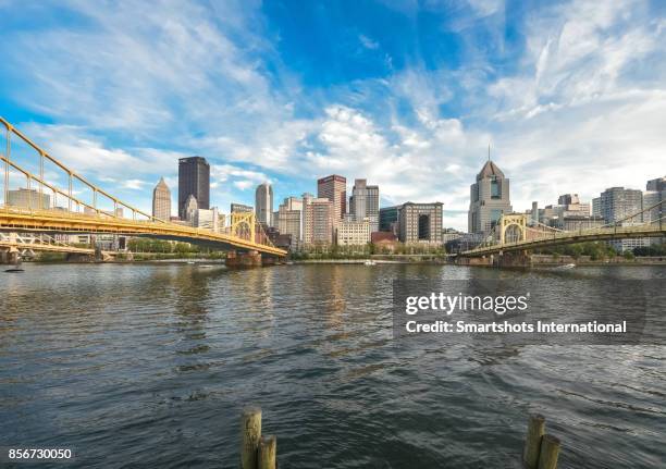 roberto clemente bridge and andy warhol bridge spanning over the allegheny river with pittsburgh skyline on background, pennsylvania, usa - pittsburgh fotografías e imágenes de stock