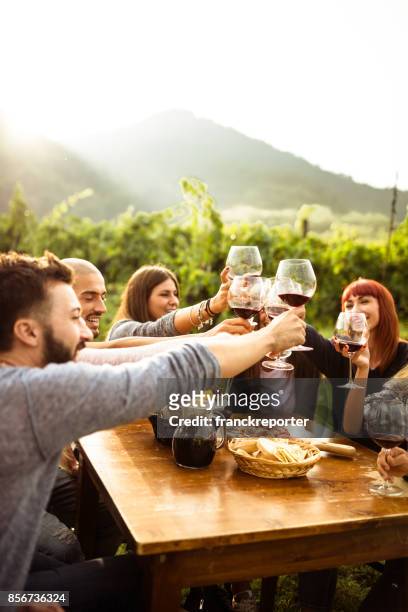 friends doing a wine tasting - smelling food stock pictures, royalty-free photos & images