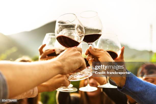 vrienden doen een wijnproeverij - wijn proeven stockfoto's en -beelden