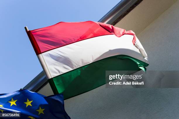 hungary and european union flags - hungarian flag stock pictures, royalty-free photos & images