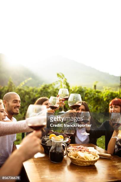 vrienden doen een wijnproeverij - wijn proeven stockfoto's en -beelden