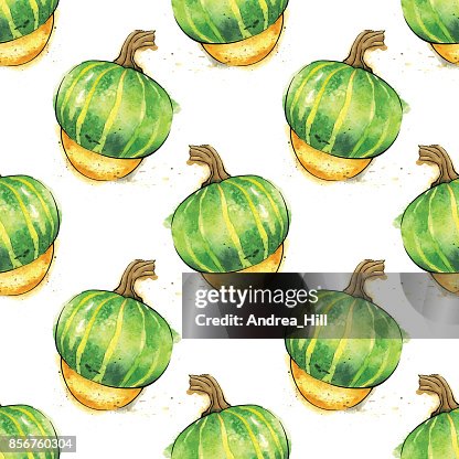 Buttercup Squash Watercolor Vector Seamless Pattern Buttercup Squash Watercolor Vector Seamless Pattern