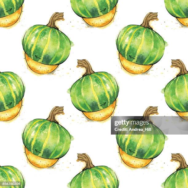 buttercup squash watercolor vector seamless pattern - ranunculus stock illustrations