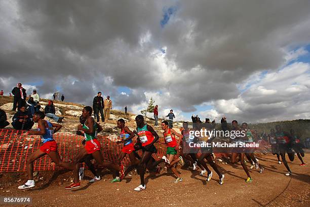 General view of the leading pack during the men's senior race at the 37th IAAF World Cross Country Championships at the Bisharat Golf Club on March...