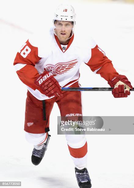 Joakim Andersson of the Detroit Red Wings plays in a game against the Florida Panthers at BB&T Center on January 27, 2015 in Sunrise, Florida.