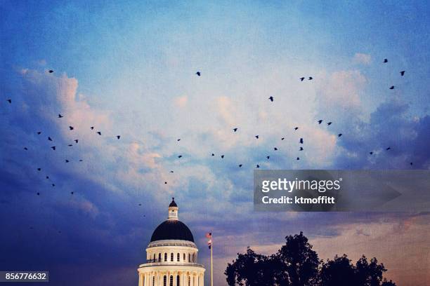 california state capitol building at sunset with birds - sacramento california stock pictures, royalty-free photos & images