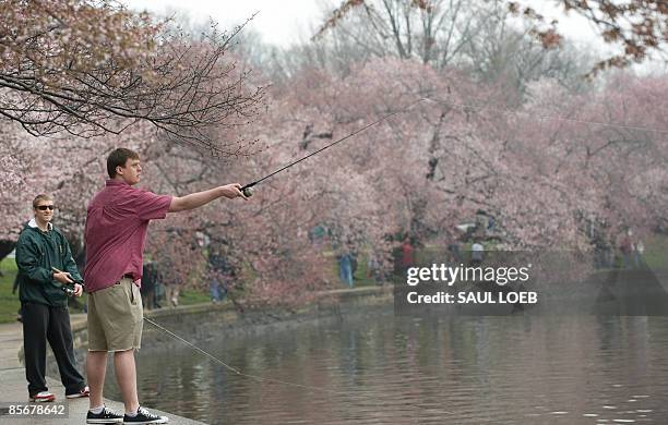 540 Mike Basin Stock Photos, High-Res Pictures, and Images - Getty Images
