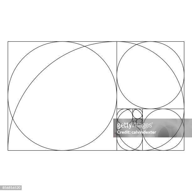 illustrations, cliparts, dessins animés et icônes de modèle de rapport d’or avec des cercles proportionnels - fibonacci