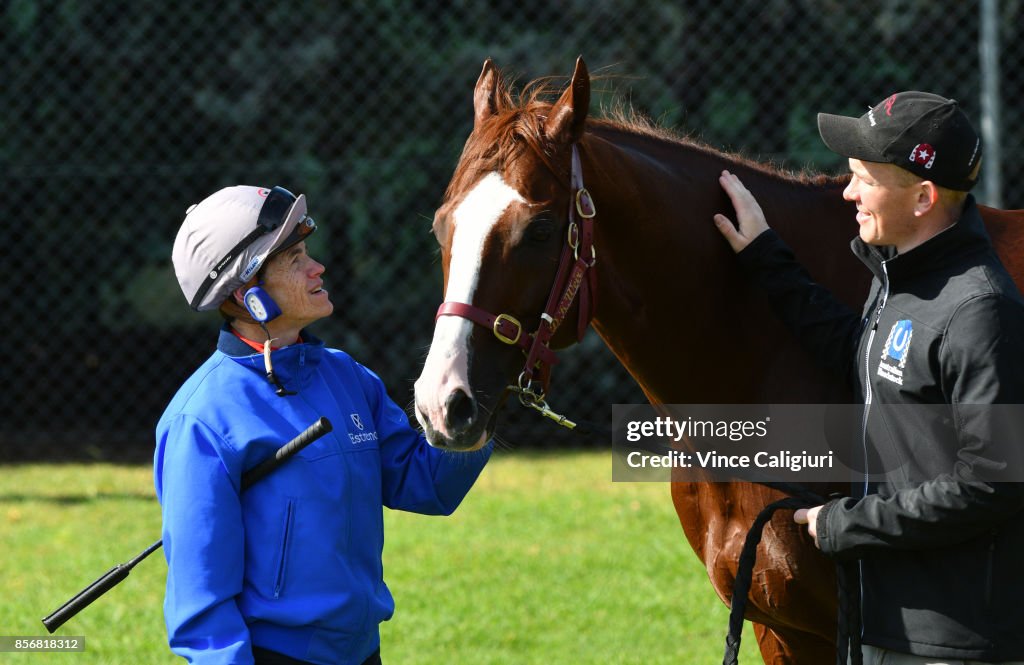 International Horses Trackwork Ahead of Melbourne Spring Carnival