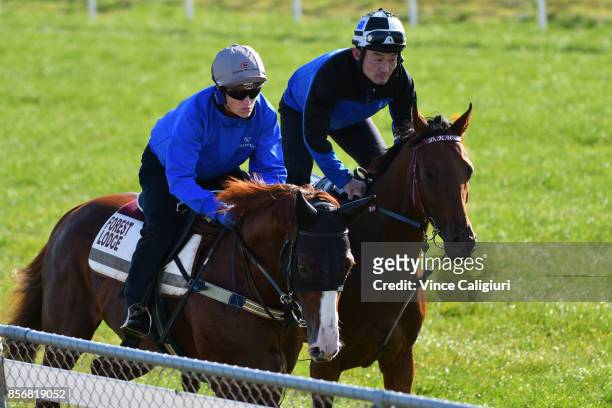 Craig Williams riding Admire Deus gallops alongside Steel of Madrid during a trackwork session at Werribee Racecourse on October 3, 2017 in...